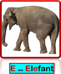 Elefant